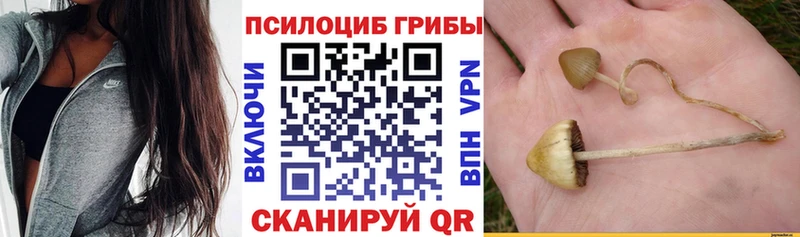 Псилоцибиновые грибы Magic Shrooms  маркетплейс состав  Тотьма 